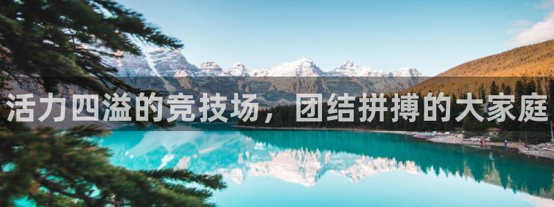 凯发官网下载招商电话号码是多少号：活力四溢的竞技场，