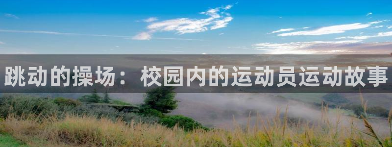 凯发官方正版app集团简介：跳动的操场：校园内的运动