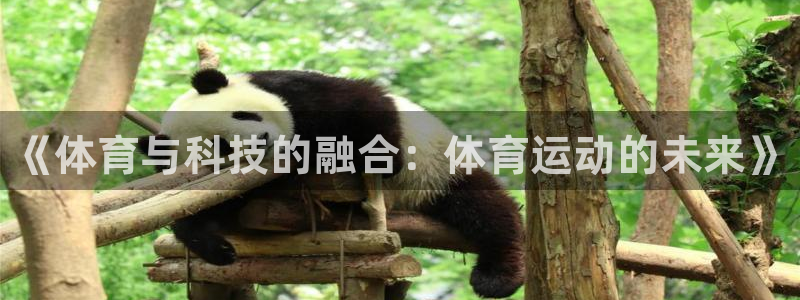凯发官网下载联系电话：《体育与科技的融合：体育运动的