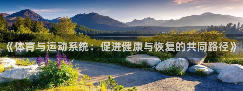 凯发官网下载平台注册：《体育与运动系统：促进健康与恢