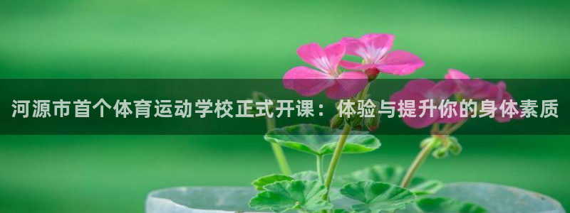 凯发官方正版app集团E.ON：河源市首个体育运动学