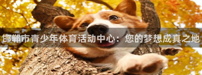 凯发官网下载是干嘛的公司：邯郸市青少年体育活动中心：