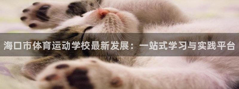 凯发官方正版app集团官网首页：海口市体育运动学校最