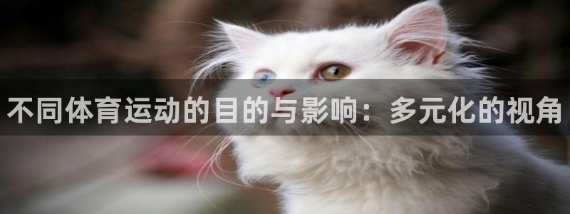 海南凯发官网下载：不同体育运动的目的与影响：多元化的