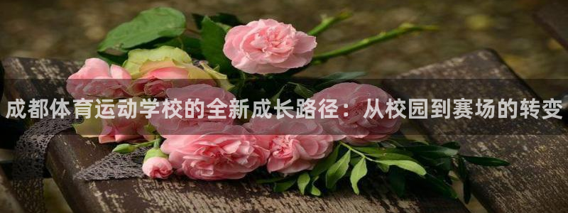 凯发官网下载是干嘛的公司：成都体育运动学校的全新成长