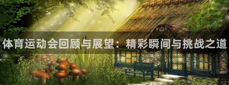 凯发官网下载平台注册：体育运动会回顾与展望：精彩瞬间与挑战之