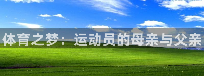 德国凯发官方正版app集团：体育之梦：运动员的母亲与父亲
