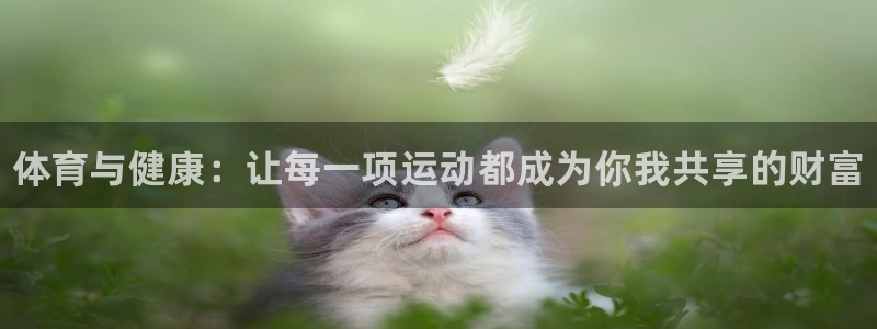 凯发官方正版app开户