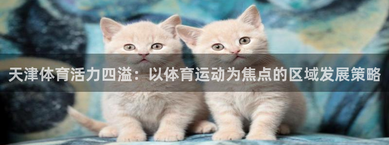 凯发官网下载软件：天津体育活力四溢：以体育运动为焦点