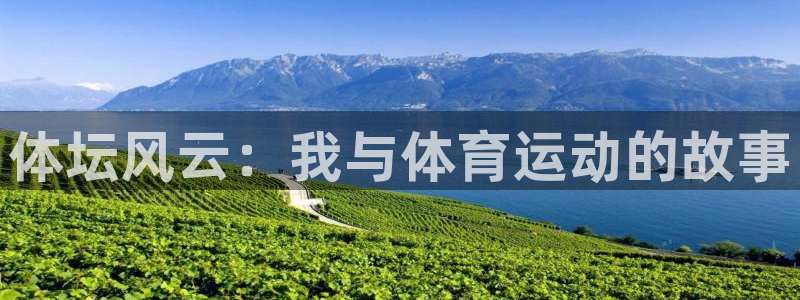 凯发官网下载娱乐