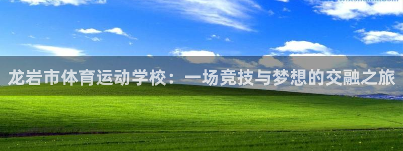 凯发官方正版app新能源