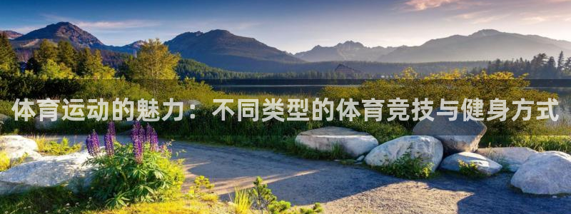 凯发官方正版app娱乐首页官网下载：体育运动的魅力：不同类型