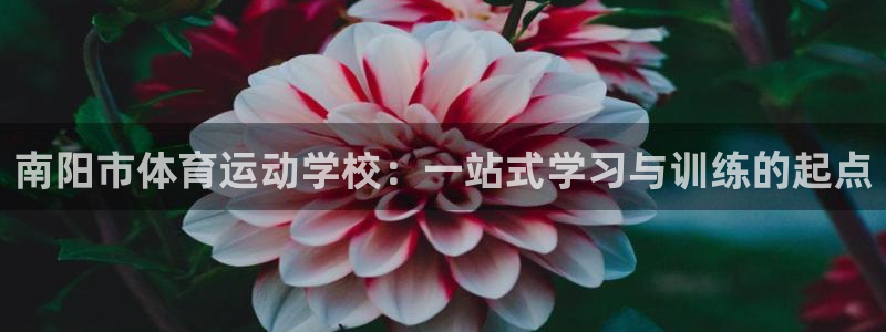 海南凯发官网下载发展怎么样：南阳市体育运动学校：一站式学习与