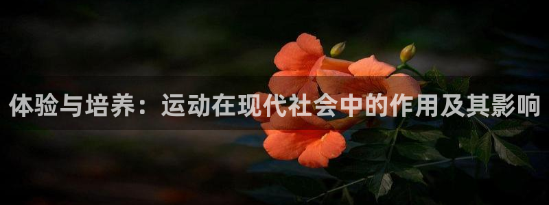 凯发官方正版app科技：体验与培养：运动在现代社会中的作用及