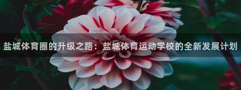 凯发官网下载招商电话号码是多少啊