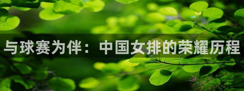 凯发k8com：与球赛为伴：中国女排