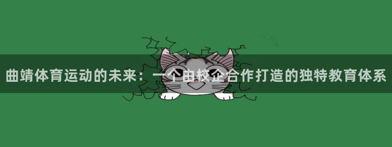 凯发官网下载：曲靖体育运动的未来：一
