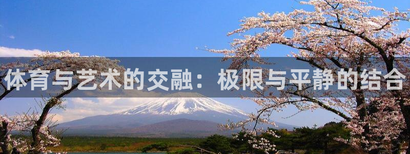 凯发官网下载平台：体育与艺术的交融：极限与平静的结合