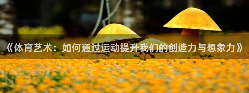 凯发官方正版app神州：《体育艺术：如何通过运动提升我们的创
