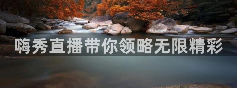 nba直播 河豚：嗨秀直播带你领略无限精彩
