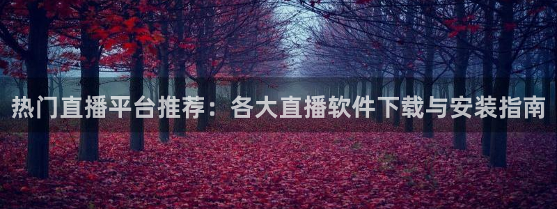 河豚体育直播：热门直播平台推荐：各大直播软件下载与安装指南