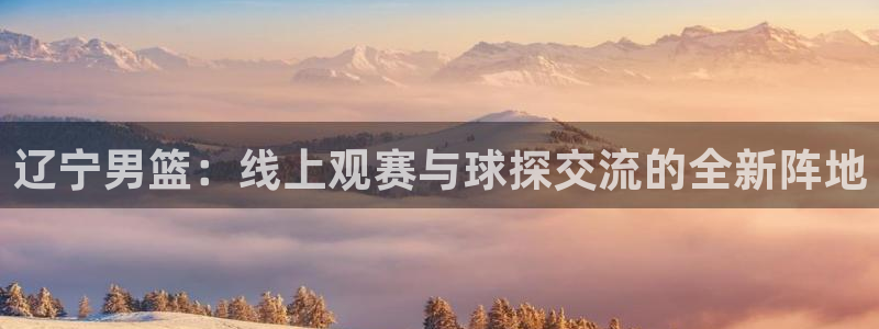 河豚体育免费直播：辽宁男篮：线上观赛与球探交流的全新阵地